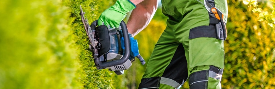 Landscape Maintenance in Maple Ridge
