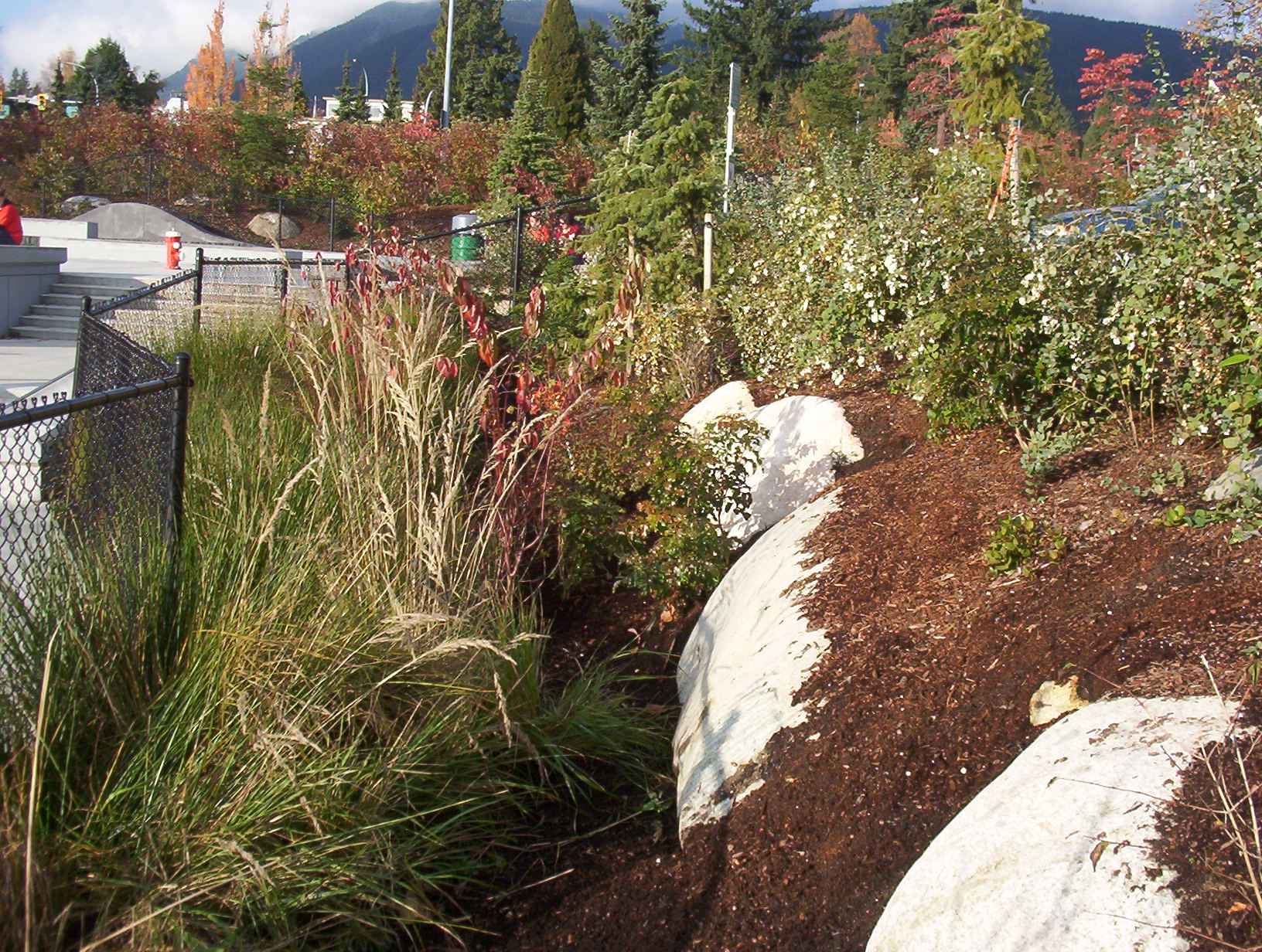 north Vancouver skate park - commercial landscaping
