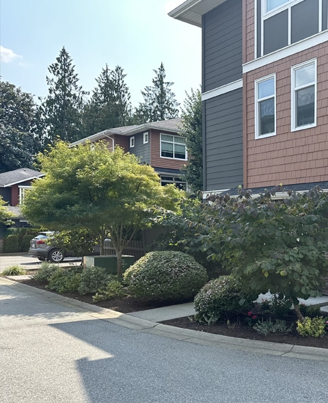 Maple Ridge Swimming Pool Installation